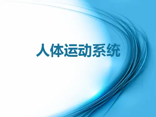 人体运动系统PPT