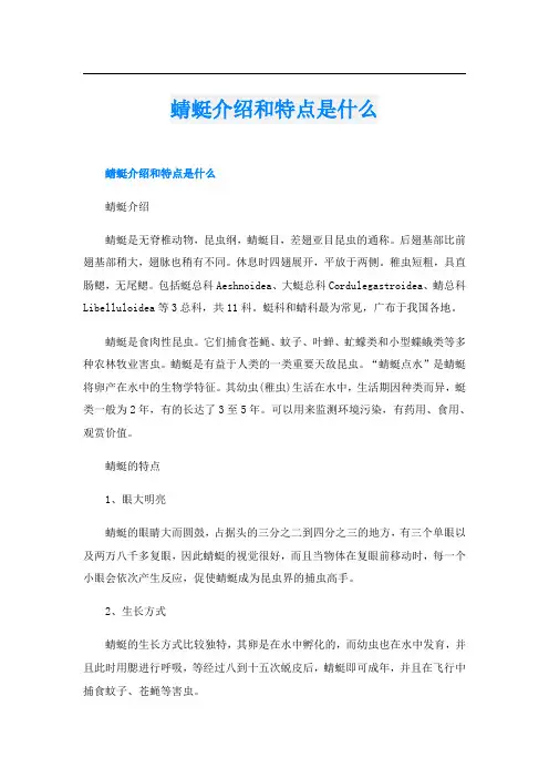 蜻蜓介绍和特点是什么