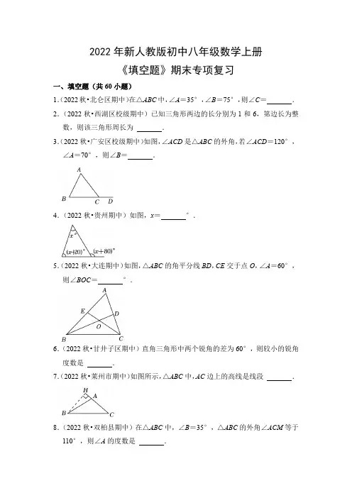2022年新人教版初中八年级数学上册《填空题》期末专项复习(附参考答案)