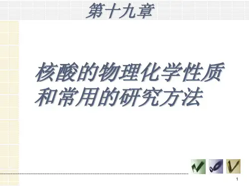 核酸的物理化学性质和常用的研究方法