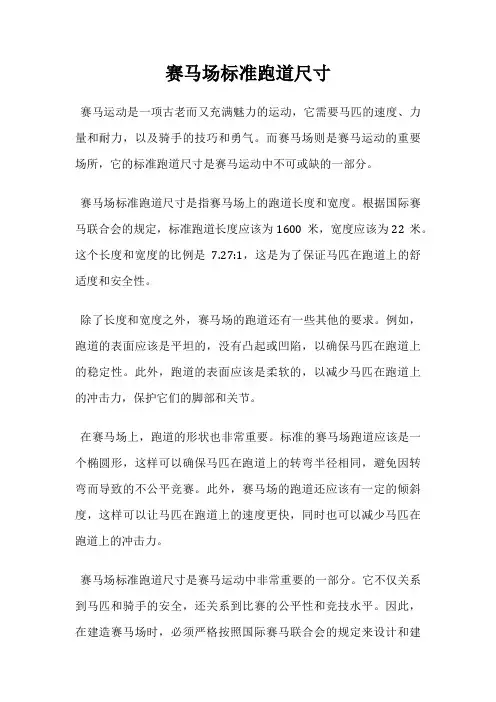 赛马场标准跑道尺寸
