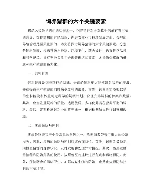 饲养猪群的六个关键要素