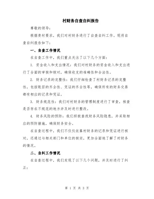 村财务自查自纠报告
