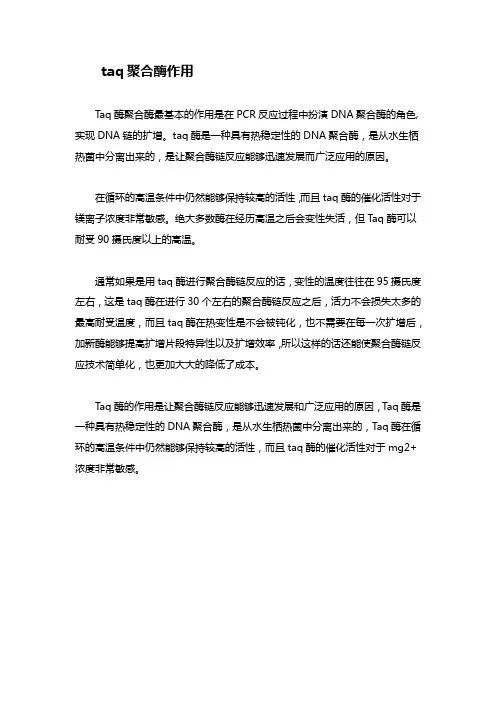 taq聚合酶作用