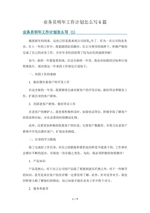 业务员明年工作计划怎么写6篇
