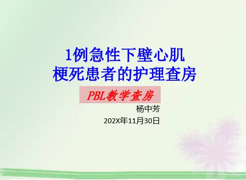 PBL护理查房ppt模板