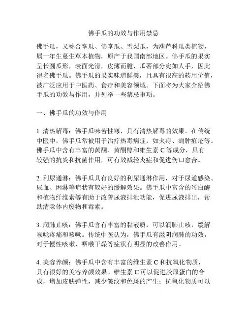 佛手瓜的功效与作用禁忌