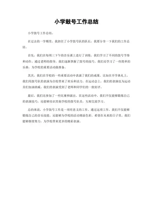 小学鼓号工作总结