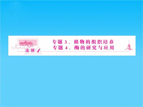 高二生物课件第四部分实验十一《植物的组织培养》课件2(浙科版选修1)