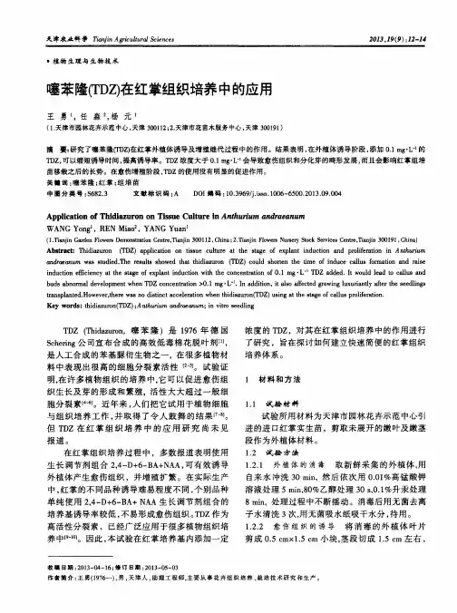 噻苯隆(TDZ)在红掌组织培养中的应用