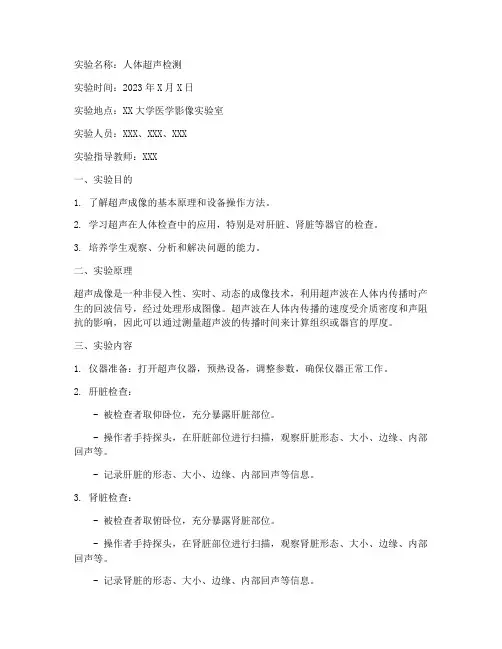 人体超声实验报告