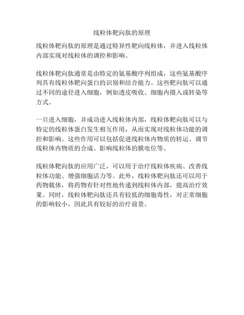 线粒体靶向肽的原理