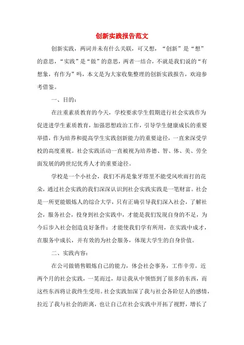 创新实践报告范文