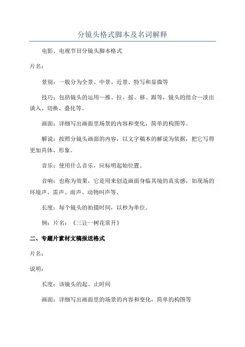 分镜头格式脚本及名词解释