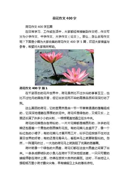 荷花作文400字