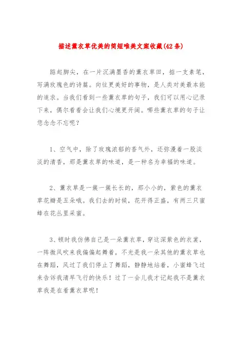 (42条)描述薰衣草优美的简短唯美文案收藏