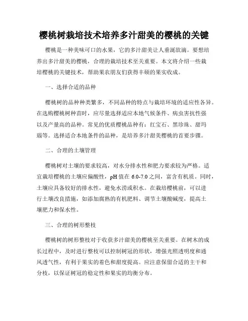 樱桃树栽培技术培养多汁甜美的樱桃的关键