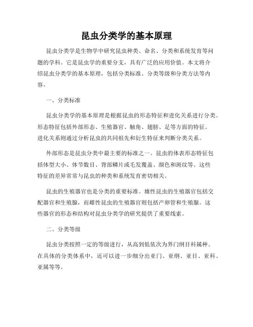 昆虫分类学的基本原理