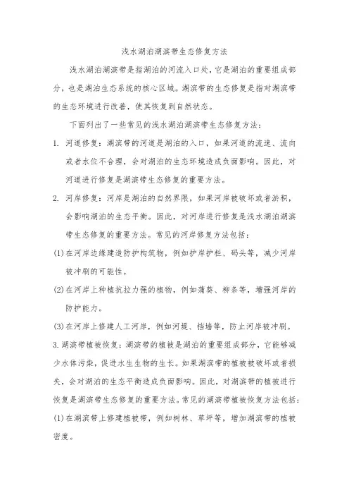浅水湖泊湖滨带生态修复方法