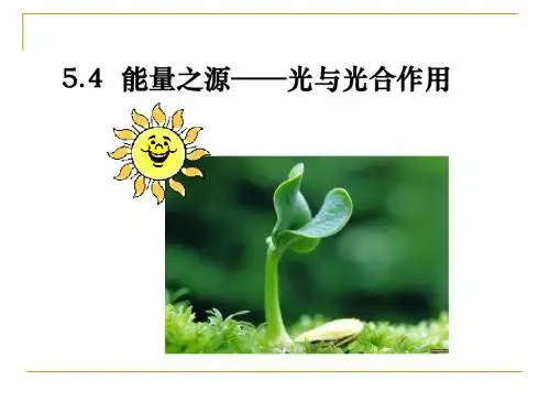 5-4 能量之源——光与光合作用
