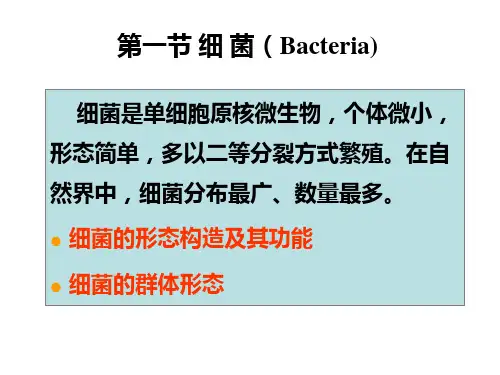 微生物学 第一节 细 菌(Bacteria)