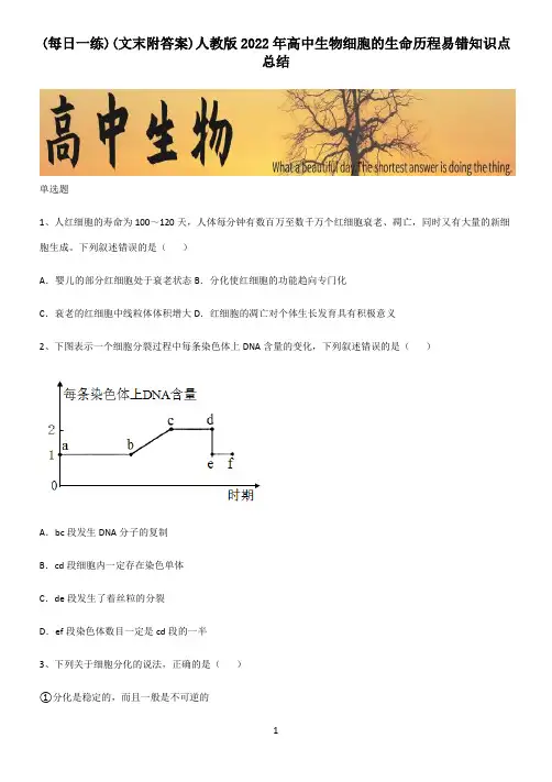 (文末附答案)人教版2022年高中生物细胞的生命历程易错知识点总结