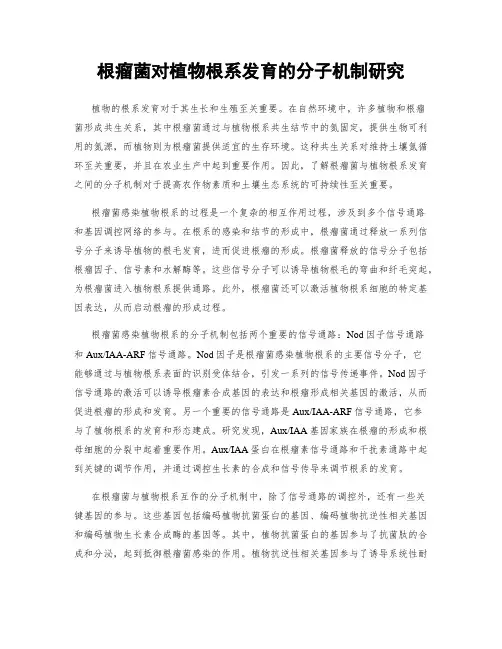 根瘤菌对植物根系发育的分子机制研究