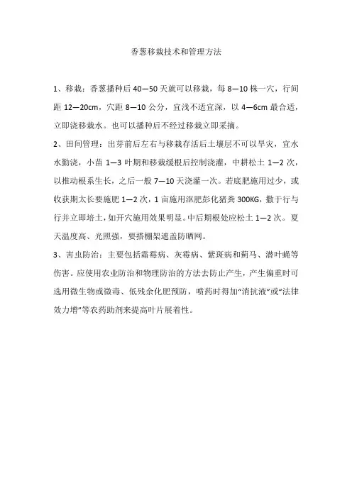 香葱移栽技术和管理方法