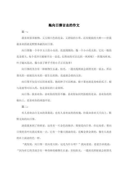 拖向日葵言志的作文