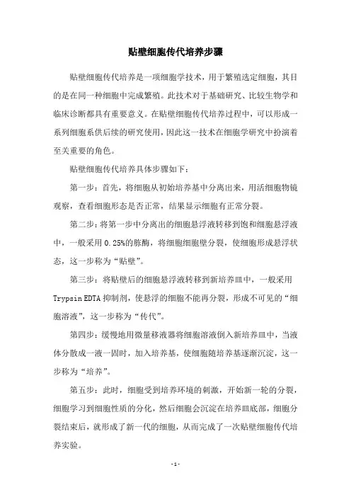贴壁细胞传代培养步骤