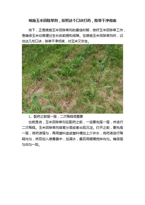 喷施玉米田除草剂，按照这个口诀打药，除草干净彻底