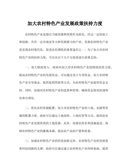 加大农村特色产业发展政策扶持力度