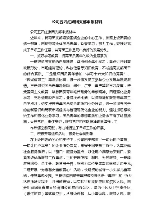 公司五四红旗团支部申报材料
