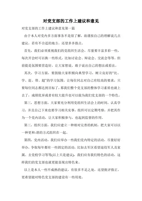 对党支部的工作上建议和意见.doc