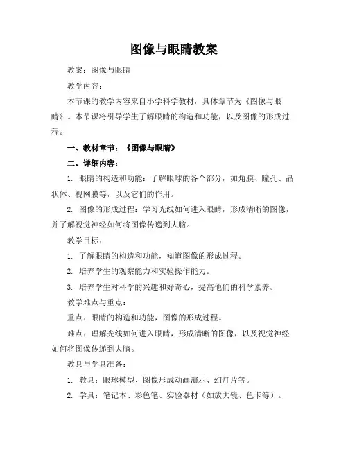 图像与眼睛-教案