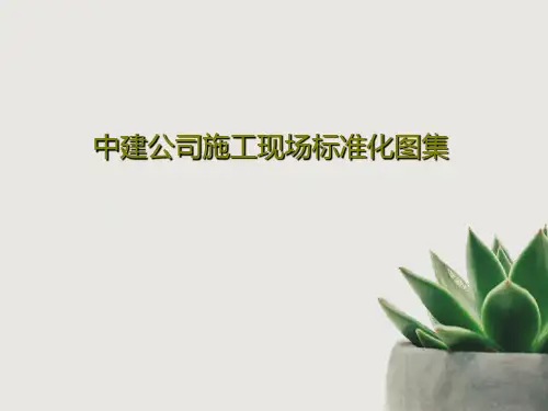 中建公司施工现场标准化图集101页PPT