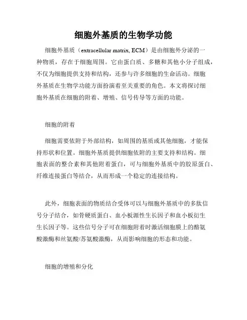 细胞外基质的生物学功能