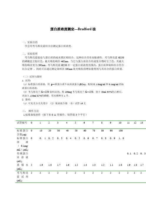 蛋白质浓度测定-Bradford