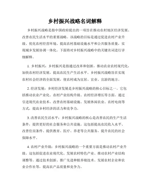 乡村振兴战略名词解释