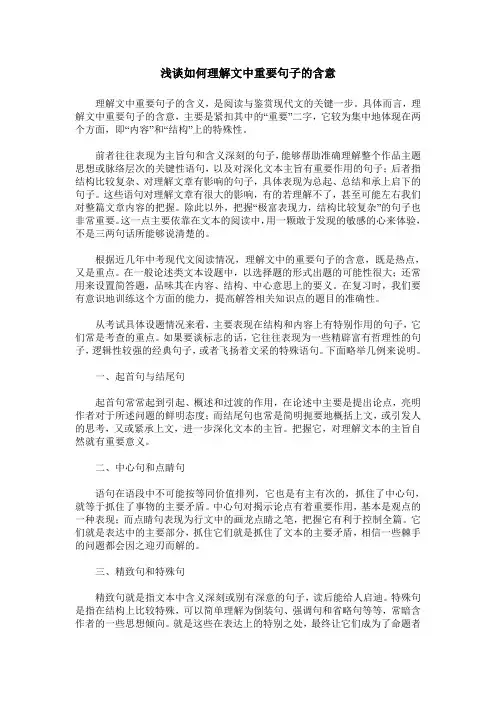 浅谈如何理解文中重要句子的含意