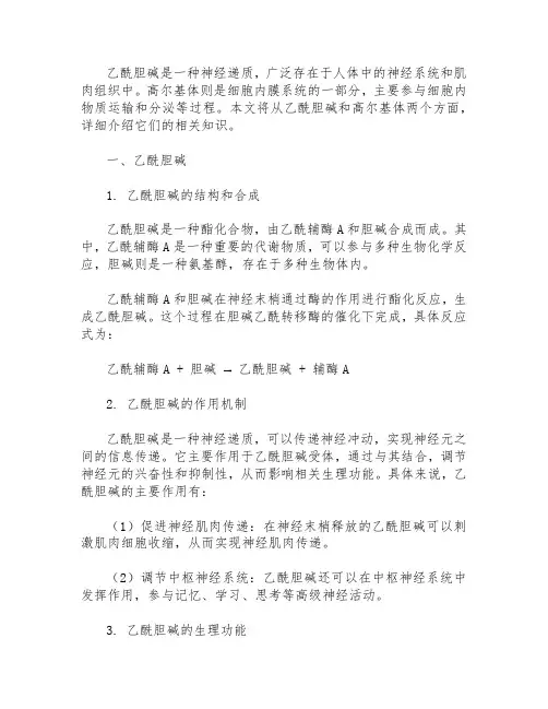 乙酰胆碱 高尔基体