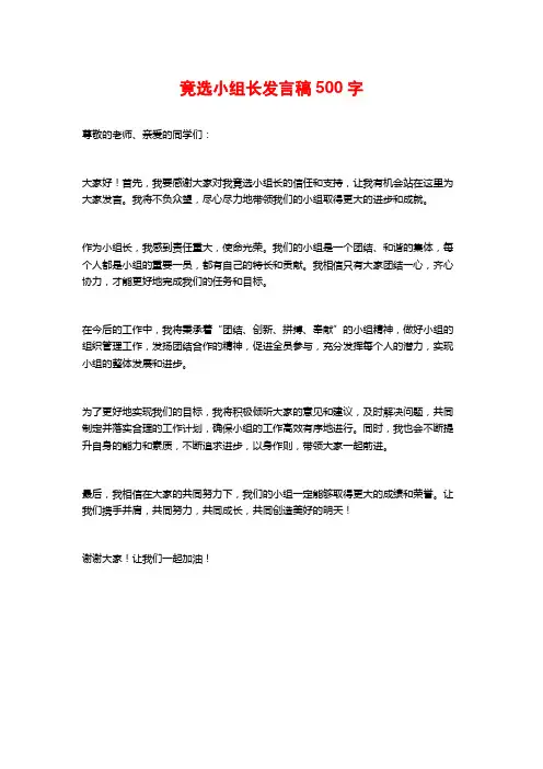 竟选小组长发言稿500字