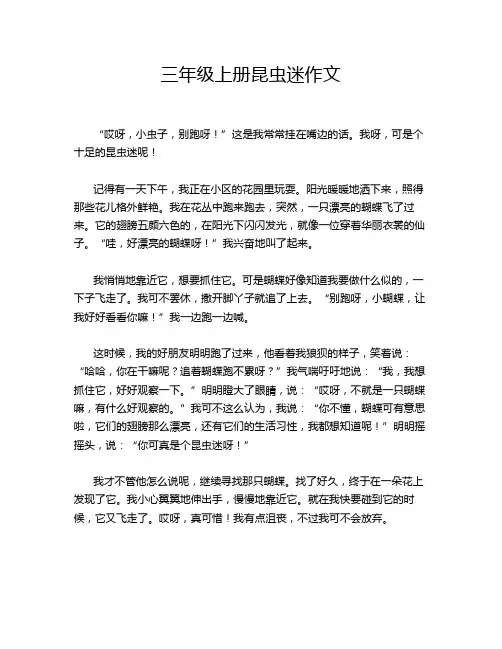 三年级上册昆虫迷作文