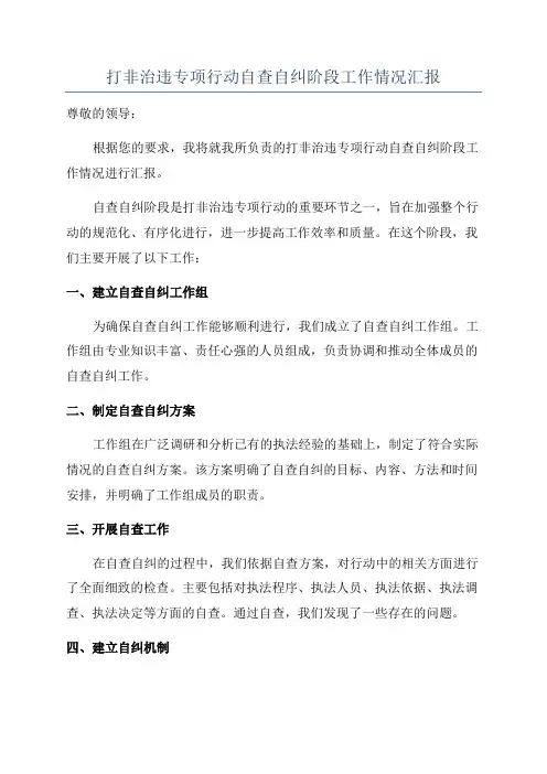 打非治违专项行动自查自纠阶段工作情况汇报