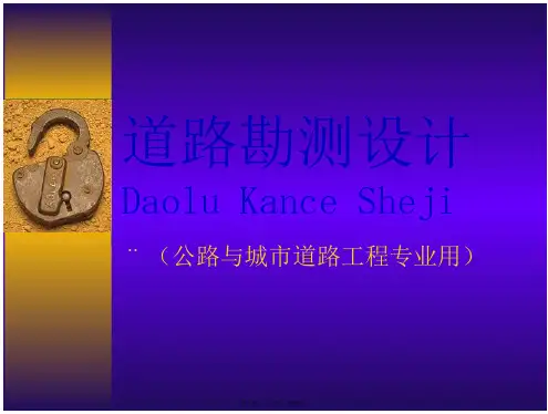 道路勘测设计横断面