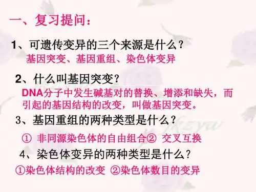 人教版高中生物必修二第5章第3节《人类遗传病》公开课一等奖优秀课件