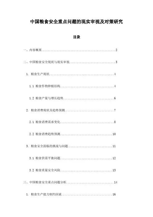 中国粮食安全重点问题的现实审视及对策研究