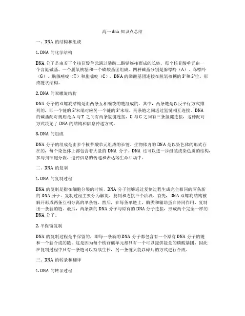 高一dna知识点总结