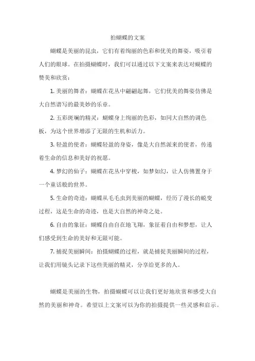 拍蝴蝶的文案