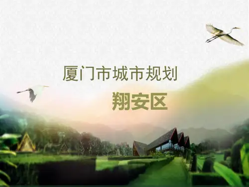 翔安规划方案ppt